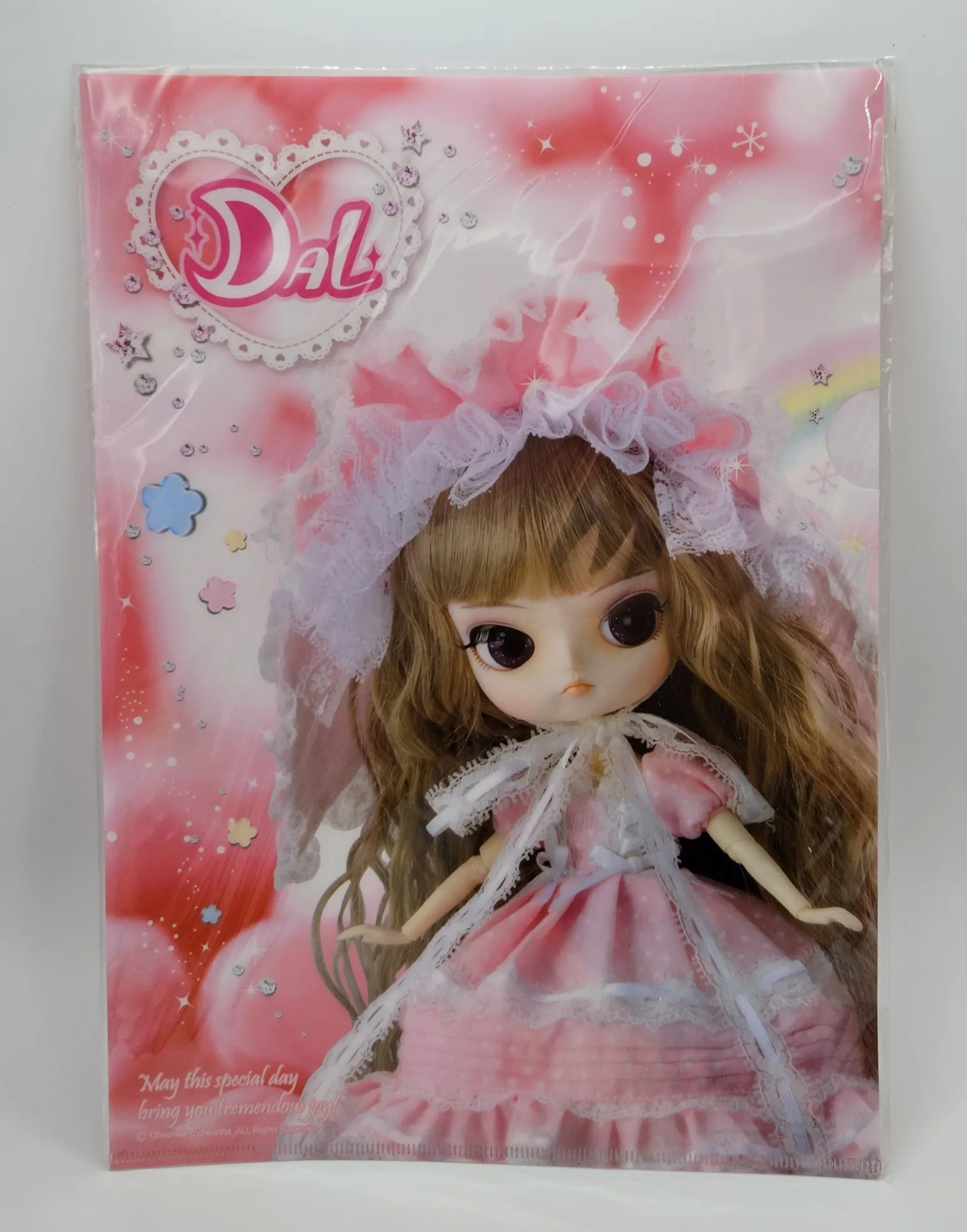 Pochette transparente A4 Dal
